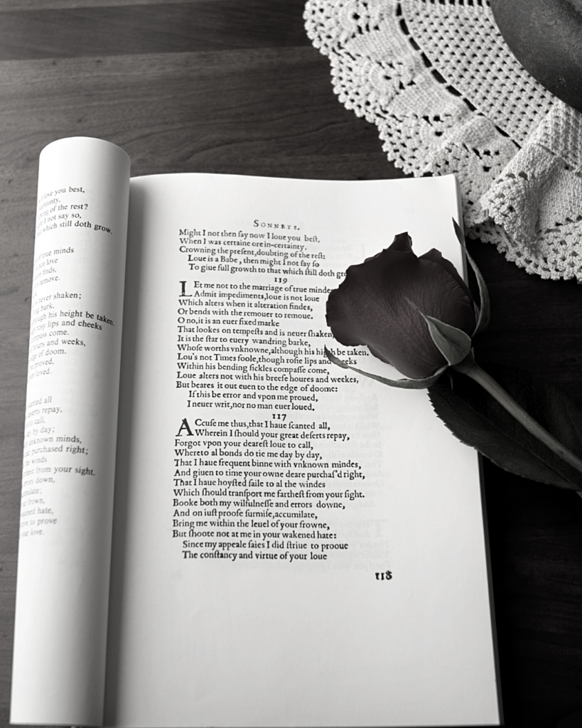 Opened book of Shakespearean prose with a single red rose